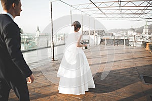 Stylish beautiful wedding couple kissing and hugging on background panoramic view of the old town