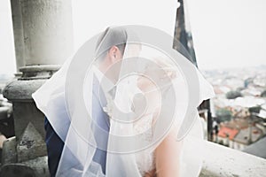 Stylish beautiful wedding couple kissing and hugging on background panoramic view of the old town