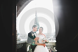 Stylish beautiful wedding couple kissing and hugging on background panoramic view of the old town