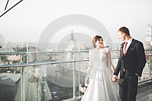 Stylish beautiful wedding couple kissing and hugging on background panoramic view of the old town