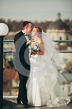 Stylish beautiful wedding couple kissing and hugging on background panoramic view of the old town