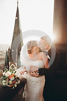 Stylish beautiful wedding couple kissing and hugging on background panoramic view of the old town