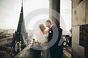 Stylish beautiful wedding couple kissing and hugging on background panoramic view of the old town