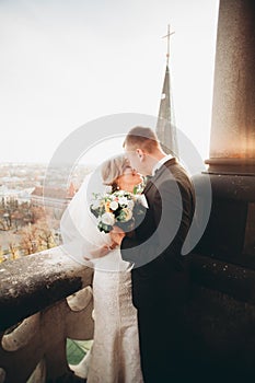 Stylish beautiful wedding couple kissing and hugging on background panoramic view of the old town