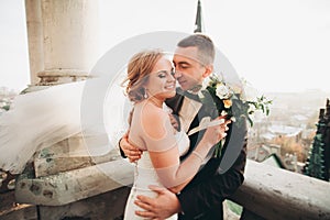 Stylish beautiful wedding couple kissing and hugging on background panoramic view of the old town