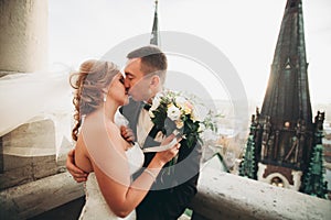 Stylish beautiful wedding couple kissing and hugging on background panoramic view of the old town
