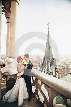 Stylish beautiful wedding couple kissing and hugging on background panoramic view of the old town