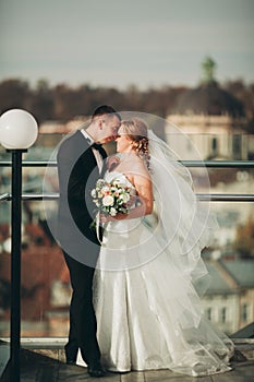 Stylish beautiful wedding couple kissing and hugging on background panoramic view of the old town