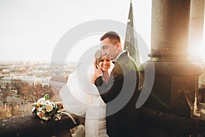 Stylish beautiful wedding couple kissing and hugging on background panoramic view of the old town