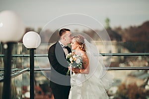 Stylish beautiful wedding couple kissing and hugging on background panoramic view of the old town