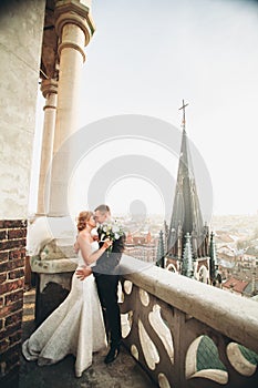 Stylish beautiful wedding couple kissing and hugging on background panoramic view of the old town