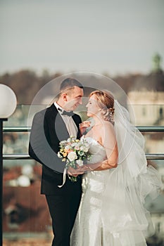 Stylish beautiful wedding couple kissing and hugging on background panoramic view of the old town