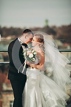 Stylish beautiful wedding couple kissing and hugging on background panoramic view of the old town