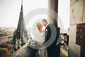 Stylish beautiful wedding couple kissing and hugging on background panoramic view of the old town