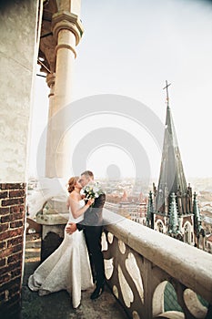 Stylish beautiful wedding couple kissing and hugging on background panoramic view of the old town