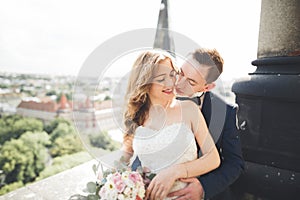 Stylish beautiful wedding couple kissing and hugging on background panoramic view of the old town