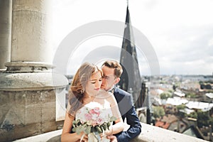 Stylish beautiful wedding couple kissing and hugging on background panoramic view of the old town