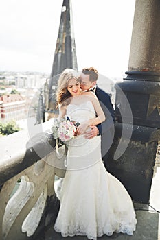 Stylish beautiful wedding couple kissing and hugging on background panoramic view of the old town