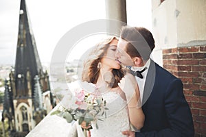 Stylish beautiful wedding couple kissing and hugging on background panoramic view of the old town