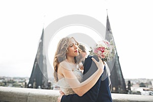 Stylish beautiful wedding couple kissing and hugging on background panoramic view of the old town