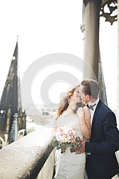 Stylish beautiful wedding couple kissing and hugging on background panoramic view of the old town