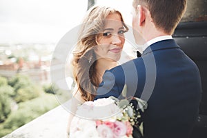 Stylish beautiful wedding couple kissing and hugging on background panoramic view of the old town