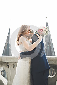 Stylish beautiful wedding couple kissing and hugging on background panoramic view of the old town