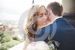 Stylish beautiful wedding couple kissing and hugging on background panoramic view of the old town