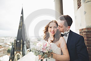 Stylish beautiful wedding couple kissing and hugging on background panoramic view of the old town