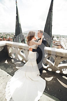 Stylish beautiful wedding couple kissing and hugging on background panoramic view of the old town