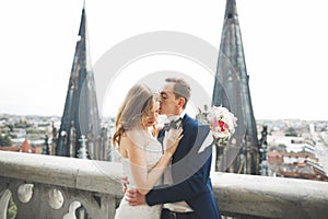 Stylish beautiful wedding couple kissing and hugging on background panoramic view of the old town