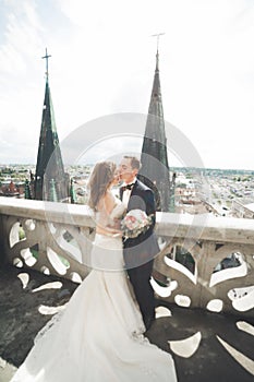 Stylish beautiful wedding couple kissing and hugging on background panoramic view of the old town