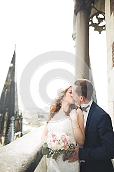 Stylish beautiful wedding couple kissing and hugging on background panoramic view of the old town