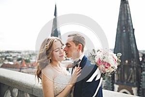 Stylish beautiful wedding couple kissing and hugging on background panoramic view of the old town