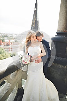 Stylish beautiful wedding couple kissing and hugging on background panoramic view of the old town