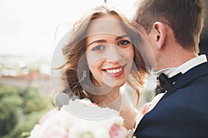 Stylish beautiful wedding couple kissing and hugging on background panoramic view of the old town