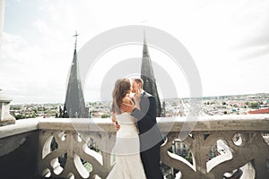 Stylish beautiful wedding couple kissing and hugging on background panoramic view of the old town