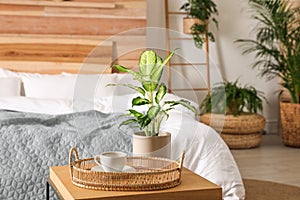 Stylish bedroom interior with plants. Home design ideas