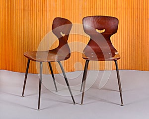 Stylish bentwood designer chairs