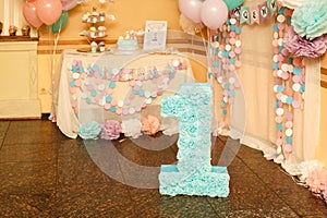 Stylish Birthday decorations for little girl on her first birthday