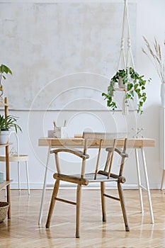 Stylish and boho home interior of open space with wooden desk, chair, lamp and white shelf. Design and elegant personal.