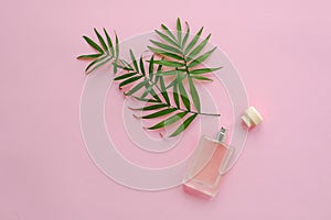 Stylish bottle of perfume with spray of palm green leaves on pin