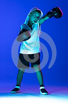 Stylish boy, beginner boxer training isolated over blue background in neon light. Concept of sport, fashion, studying