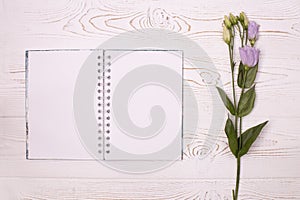 Stylish branding layout to display your work. Blank notebook and lilac flower on a white wooden shabby background from above
