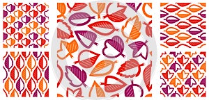 Stylish cartoon autumn leaves seamless vector pattern set, endless wallpaper or textile swatch with tree floral, red fall life