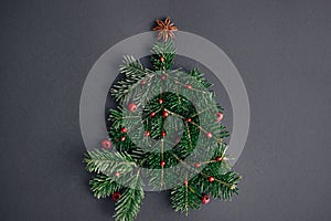 Stylish christmas tree made of fir branches, red berries and anise star on black background, creative idea. Winter holidays,