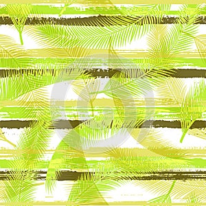 Stylish coconut palm leaves tree branches