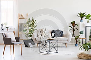 Stylish table in the middle of spacious living room interior with white sofa, urban jungle and grey chair