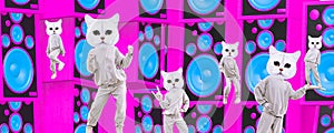 Stylish collage banner. Funny Cats dancing, clubbing party mood.  Ideal for Social networks, promotion, music, dj concept