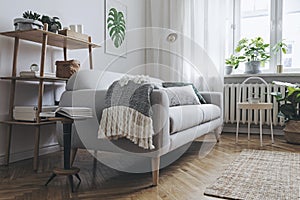 Stylish composition of creative spacious living room interior with modern sofa, wooden furniture, plants, carpet and accessories.